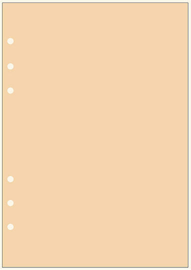 Contax Organizer Note Sheets 30 Refill Pads A5 Orange