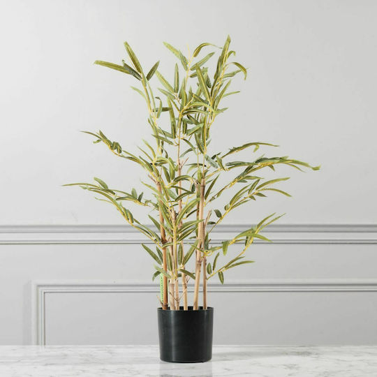 Outdoor Bamboo Supergreens
