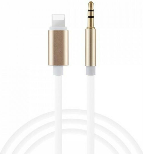Andowl Q-A191 3.5mm zu Lightning Kabel Gold 1m
