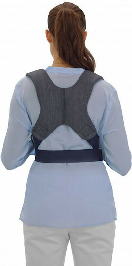 Inglesina Classic Carrier Front Beige with Maximum Weight 9kg