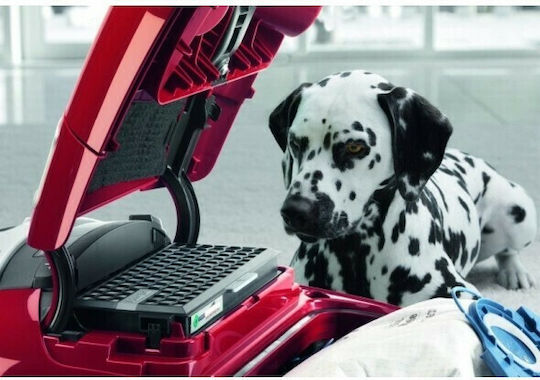 Miele Complete C3 Cat&Dog Powerline SGEF4 Aspirator 890W cu sac 4.5lt Burgundy