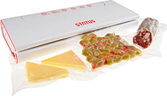 Status Vacuum Sealer External with Maximum Sealing Length 280mm Automatic HV100