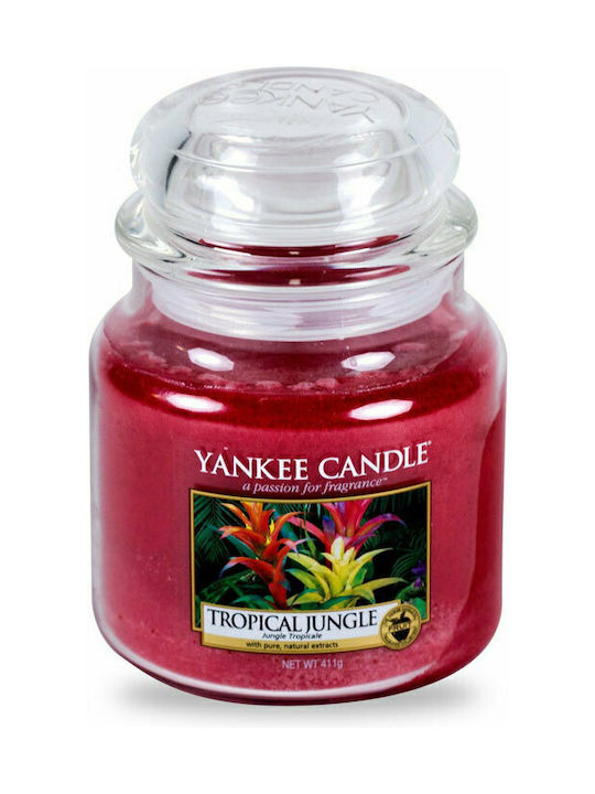 Yankee Candle Scented Candle Jar with Scent Tropical Jungle Red 411gr 1pcs