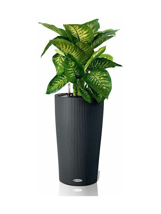 Lechuza Cilindro Self-watering Pot Plastic Slate 32x32x56cm.