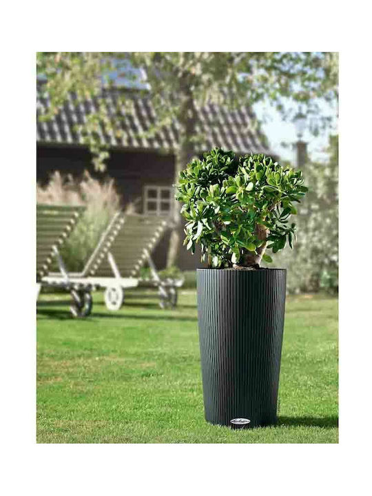 Lechuza Cilindro Self-watering Pot Plastic Slate 32x32x56cm.
