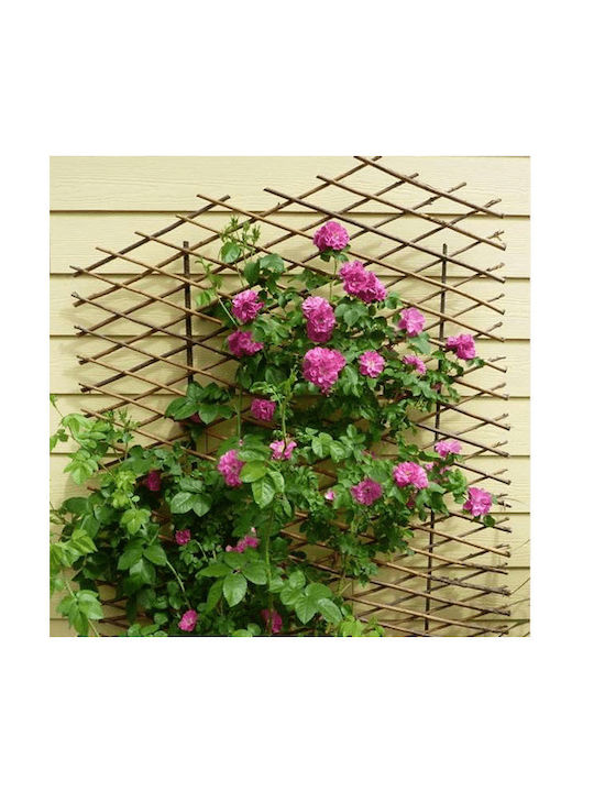 Grilaj Pliabil de Grădină din Lemn cu Plasă în Formă de Romb de Culoare Maro 180x120cm