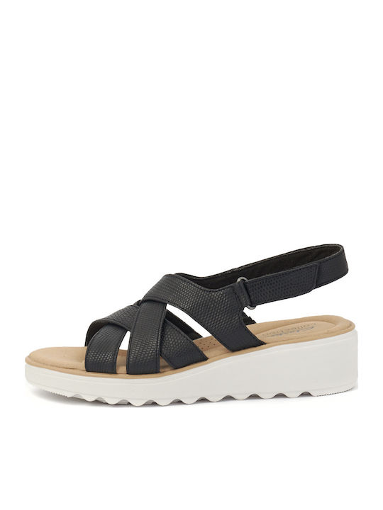Clarks