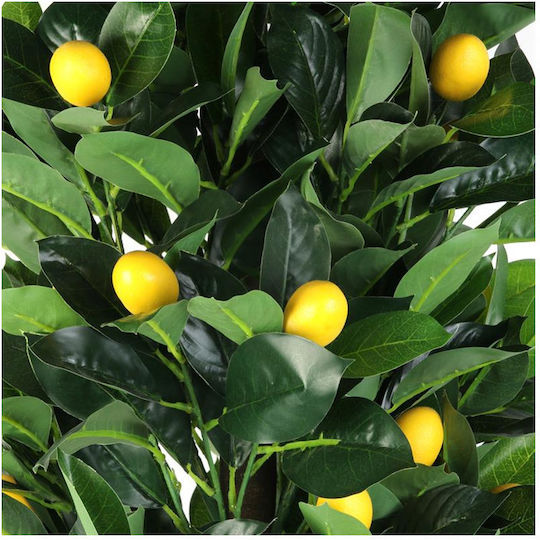 Outdoor Lemon Tree Green The Home Deco Factory Outdoor Lemon Tree Green The Home Deco Factory