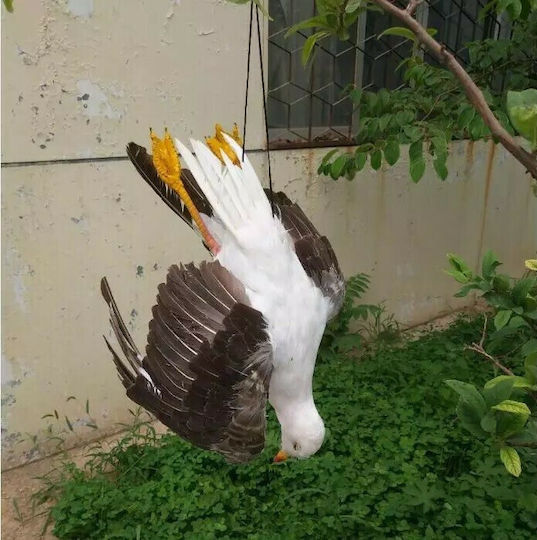 Möwe Abschreckungsattrappe Vögel