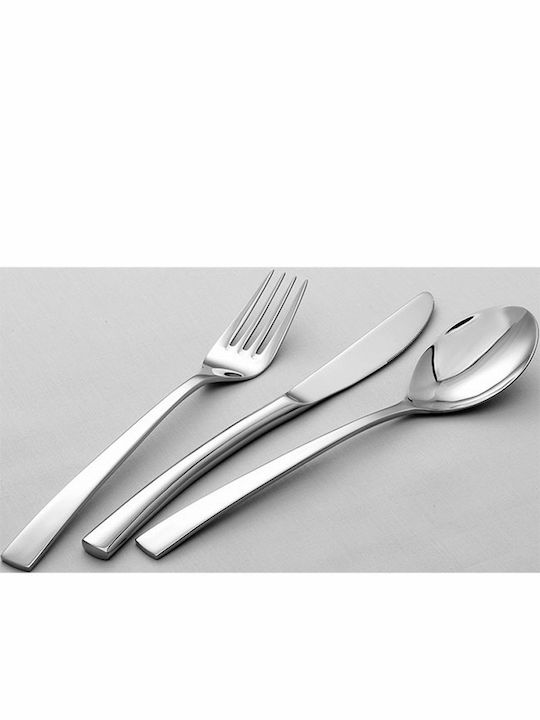 GTSA Contour Löffelset Obst Metall Silber 20.3cm 419301 12Stück