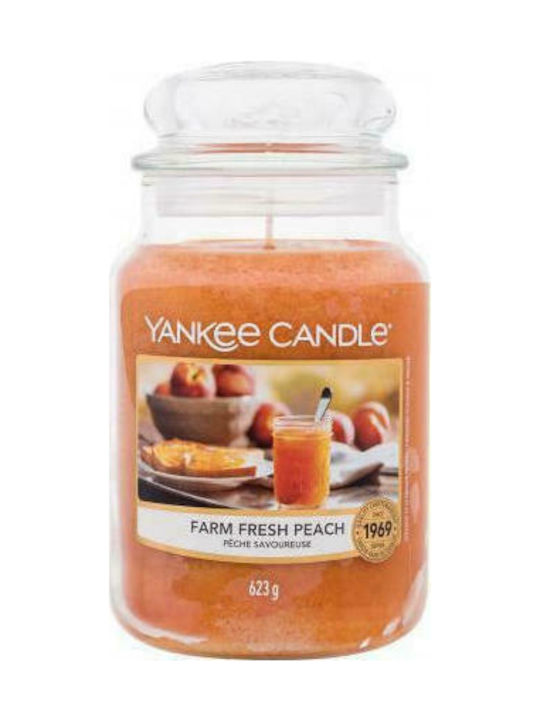 Yankee Candle Scented Candle Jar with Scent Farm Fresh Peach 623gr 1pcs