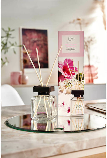 iPuro Diffuser Essentials mit Duft Blumenschale 019309 100ml