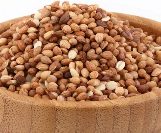 Μπαγκατζούνης Σπυρί Μαχλέπι σε Σπόρους 500gr