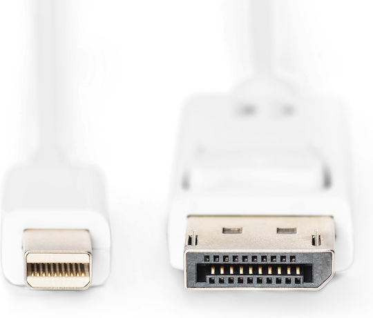 Digitus Cable DisplayPort male - mini DisplayPort female 3.0m (AK-340102-030-W)