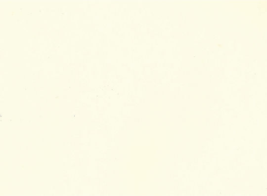 Next Printing Paper A4 80gr/m² 500 sheets Beige