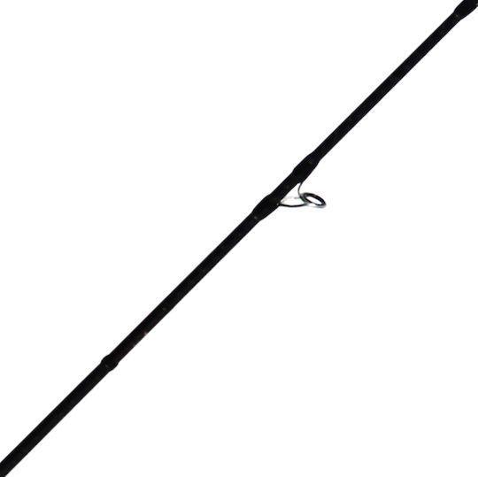 Ryobi Varius Angelrute für Langsames Jigging 1.9m 300gr