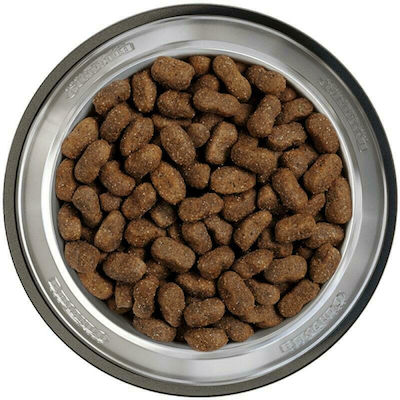 Belcando Adult GF Beef 4kg Dry Food Grain Free for Adult Dogs with Beef