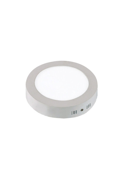 Lucas Rund Draußen LED Panel 24W mit Natürliches Weiß Licht 4000K
