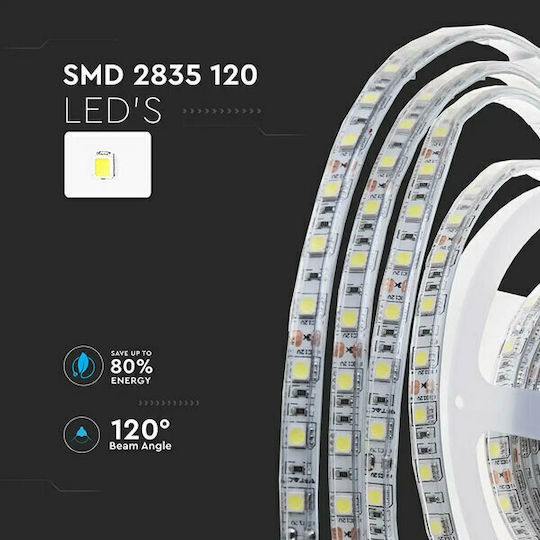 V-TAC Αδιάβροχη Ταινία LED 24V Ψυχρό Λευκό Φως 10m Τύπου SMD2835