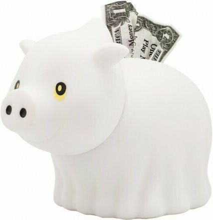 Lilalu Biggys Sparschwein