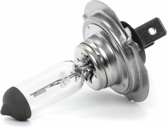 Osram Lamps Car Original 3200 H7 Halogen 3300K Warm White 12V 55W 1pcs /OA