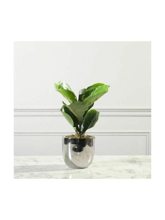 Künstliche Pflanze im Töpfchen Ficus Lyrata Geigenblatt Grün 25cm Supergreens