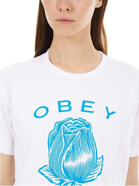 Obey