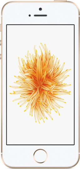 Apple iPhone SE Single SIM (2/32GB) Χρυσό