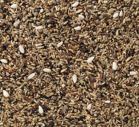 Deli Nature Hrană pentru Păsări sălbatice fără semințe 15kg 006583