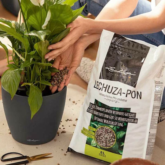 Planting Substrate Pon 6lt 19561