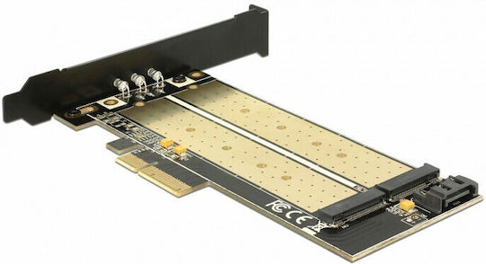 DeLock Κарта PCIe в 2 порта M.2
