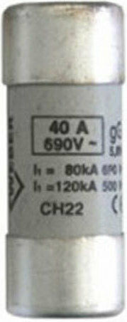 Adeleq Safety Cylindrical Porcelain Fast-Bow 22x58mm 40A (88-2040) 1pcs