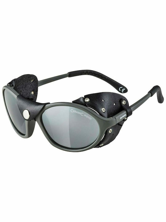 Alpina Sibiria Sunglasses with Black Plastic Frame A8316327