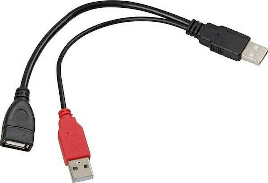 DeLock Converter USB-A 2x male to USB-A female 1pcs (65306)