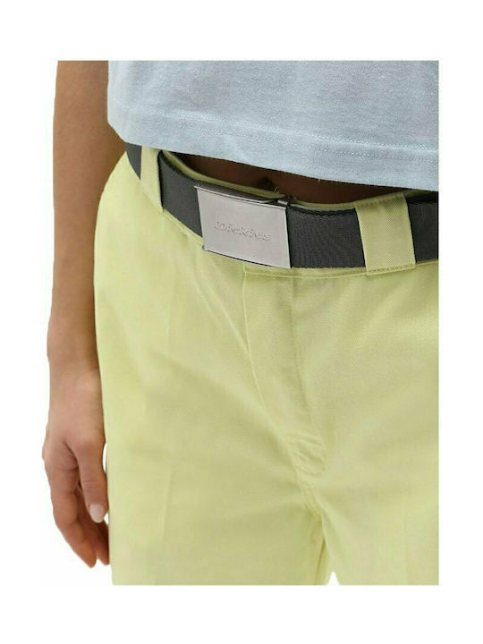 Dickies Brookston Men's Fabric Webbing Belt Belt Gray