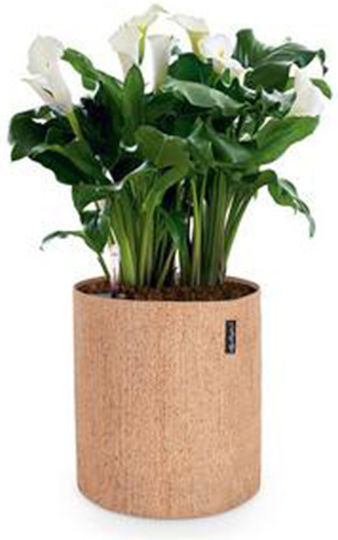 Lechuza Trendcover Cork Αυτοποτιζόμενη Γλάστρα Πλαστική Light Natural 23x23x26.5εκ.