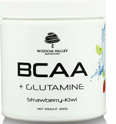 Wisdom Valley BCAA + Glutamine + B6 300gr Erdbeer Kiwi