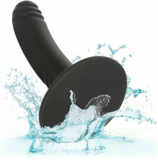 Calexotics Boundless Silicone Ridged Probe Dildo Mit Saugnapf Black 12cm