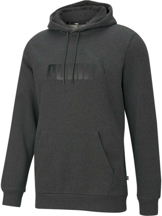 Essentials Big Logo Sweatshirt with Hood Gray