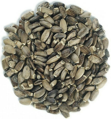 MPACHARADIKO Thistle Seeds 200gr 06247-200gr