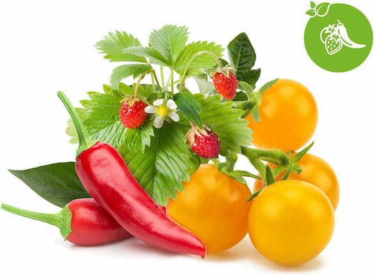 Click and Grow Σπόροι Πολύχρωμο 9τμχ