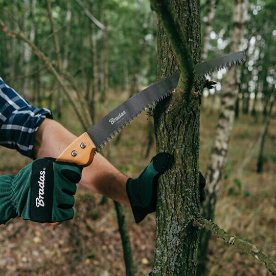 Bradas Pruning Hand Saw 31cm