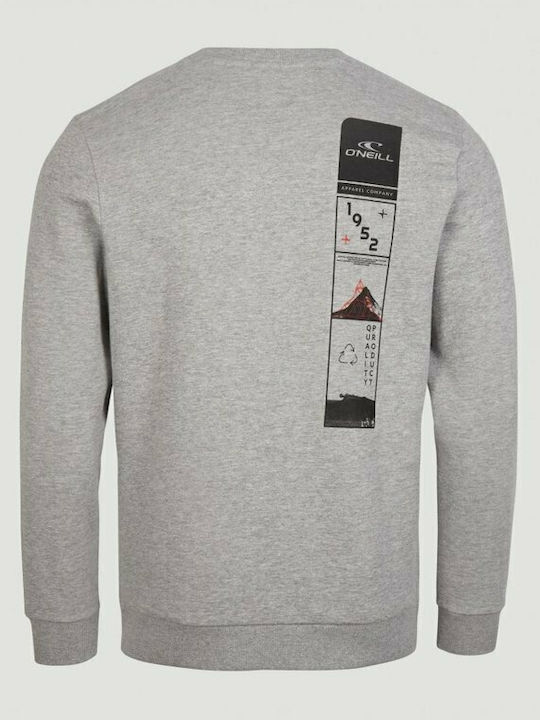 Sweatshirt Gray