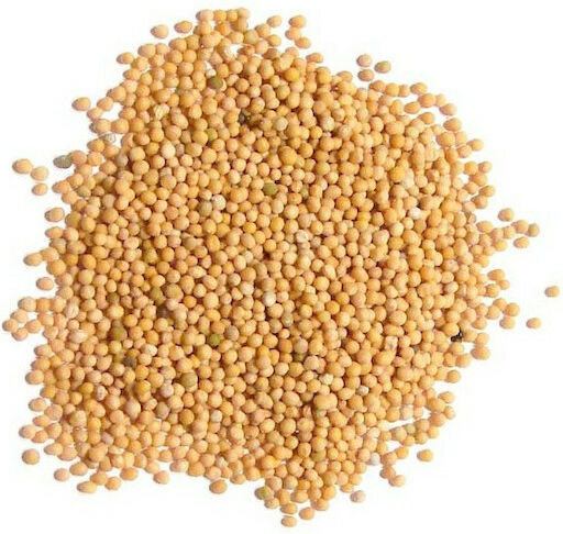 MPACHARADIKO Mustard Seed 100gr