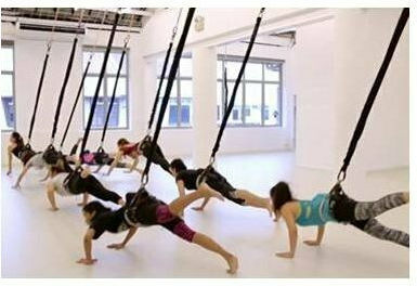 Optimum Ιμάντες Γυμναστικής Bungee Fitness