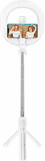 Aqua Dragons SSTR-18 Selfie Stick Mit LED-Ringlicht Ringlicht 15cm Mit Schreibtisch Stativ Und Handyhalter Weiß