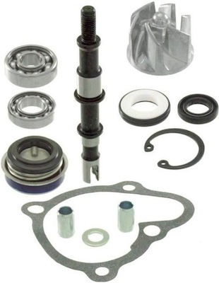 RMS for Kymco People Water Pump for Kymco XCiting 250 / 300 2005-2007 100110460