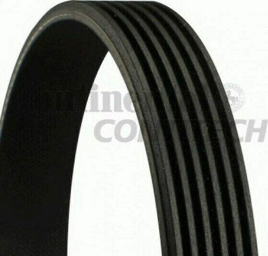 Continental Poly-V Car Engine Belt for Audi A8 Ford Fiesta 6PK1930
