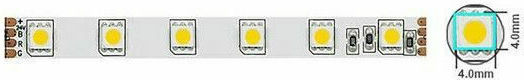 Vito LED Strip 12V Natural White Light 5m Type SMD5050