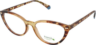 Polaroid Femei Plastic Rame Ochelari Ochi de pisică Maro Broască țestoasă PLD D432 XLT